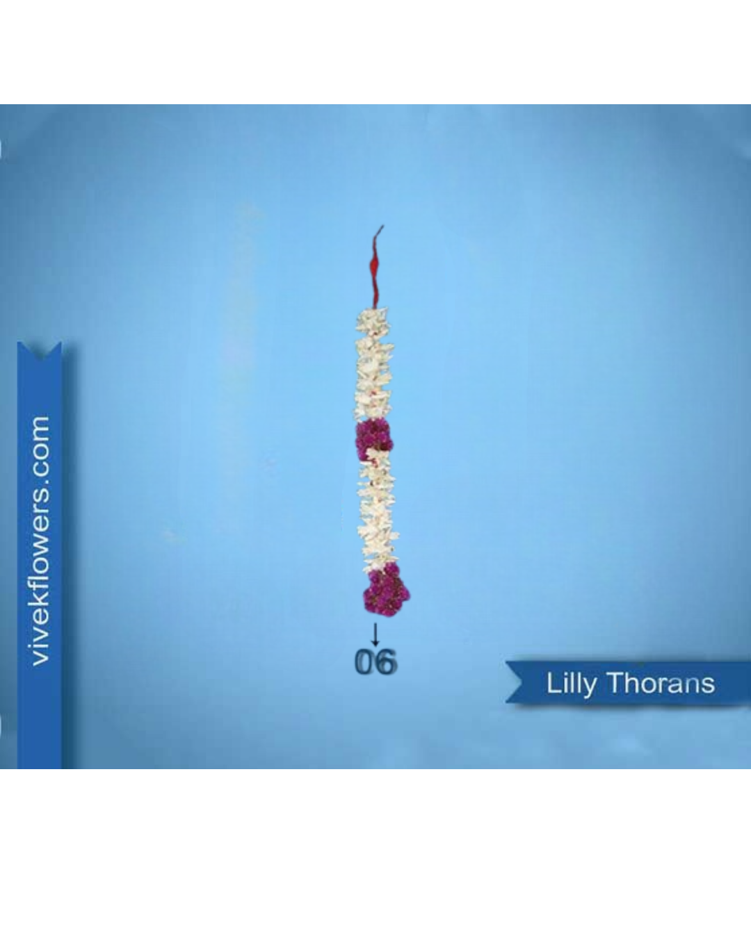 Lilly Toran - Design 06