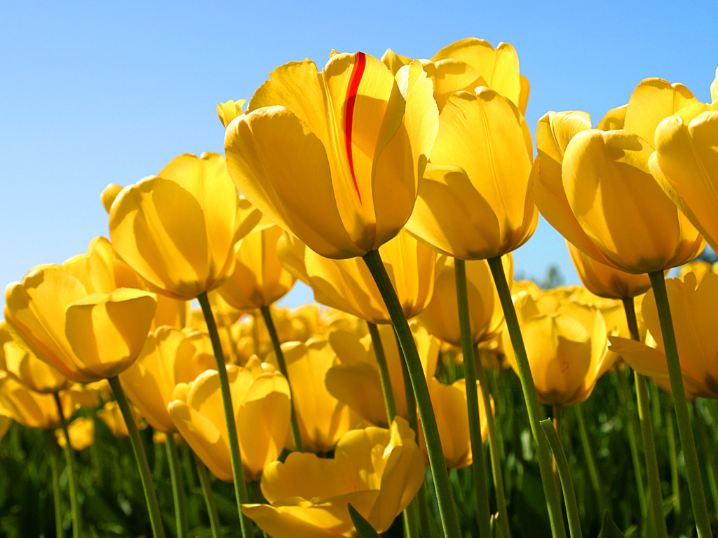 test 2