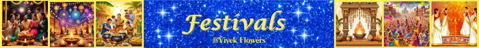 Festivals Banner