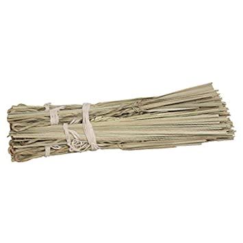 Iyengar-Darba