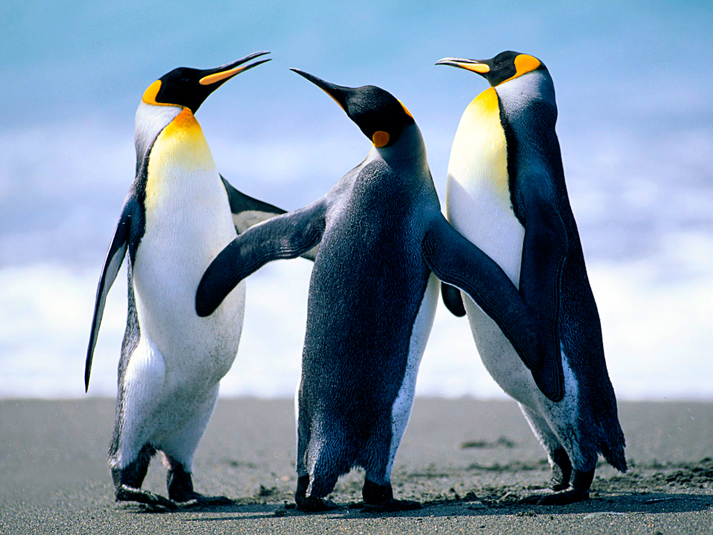 test 123