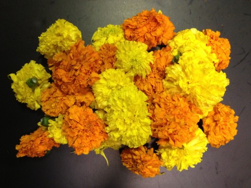 Banthipoolu / Marigolds- Orange