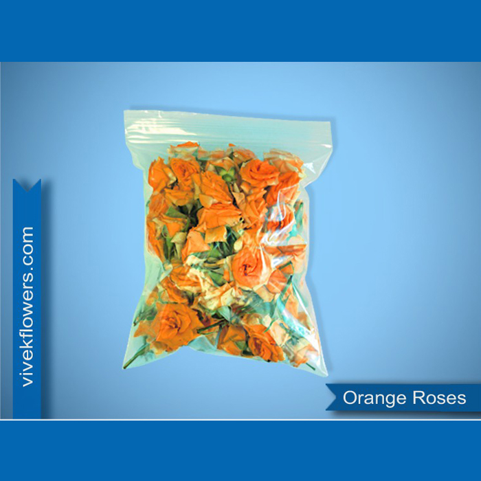 Orange Button Rose Loose