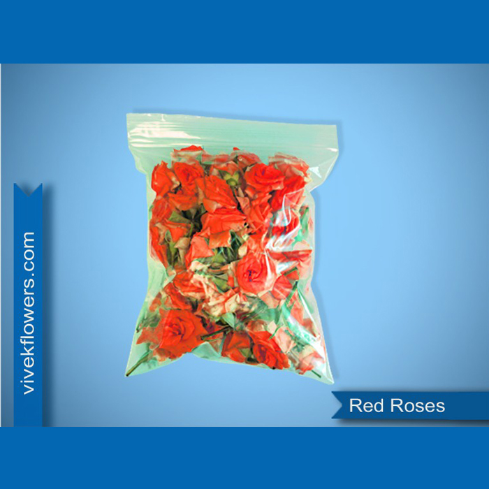 Red Button Rose Loose